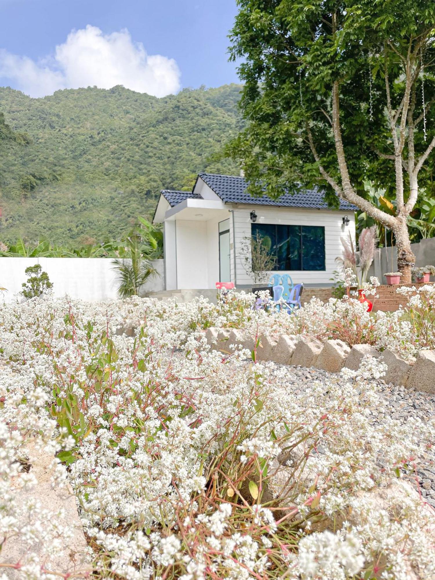 Hotel Moc Chau House Exteriér fotografie