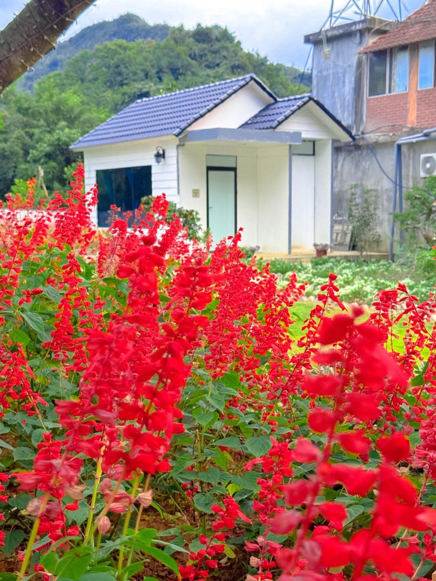 Hotel Moc Chau House Exteriér fotografie